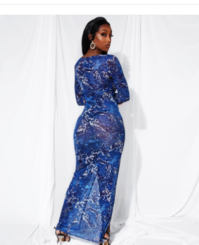 Sheer Long Sleeve Dress for Women
