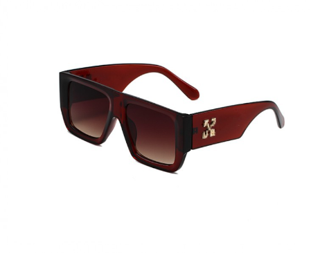 Model 504 Sunglasses for Men and Women (Single Item)