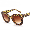 Fashion Cat Eye Sunglasses for Men and Women