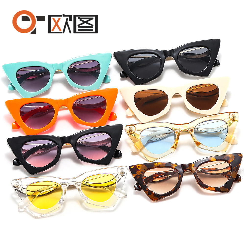 Cat Eye Shaped Selfie Sunglasses for Women 2815