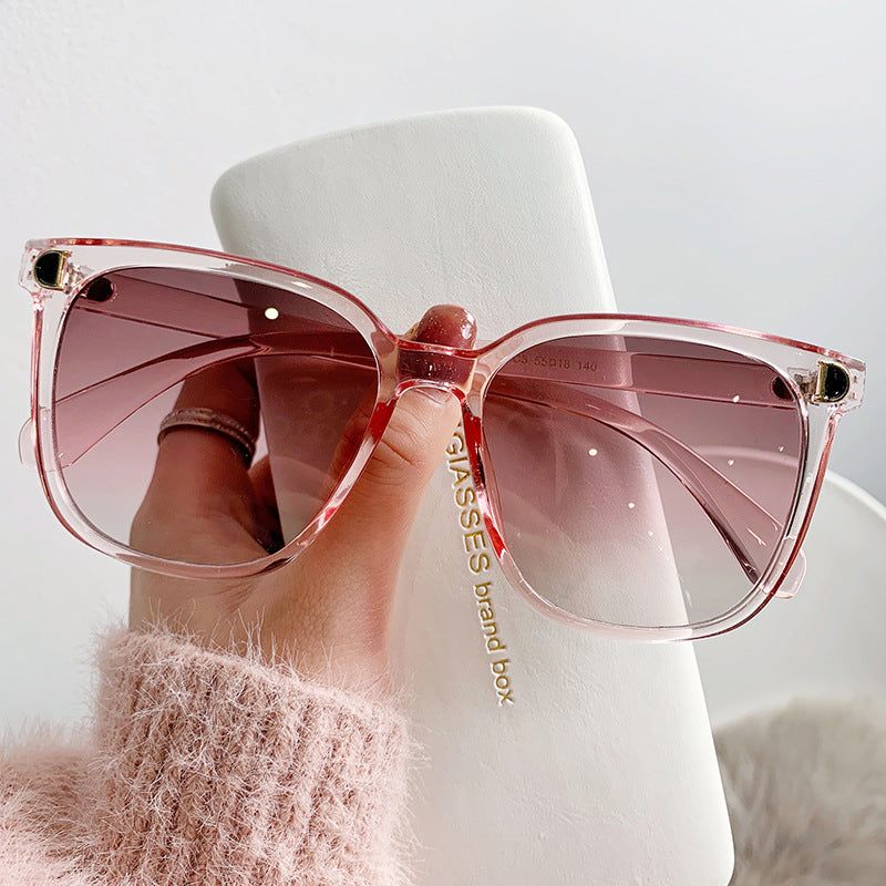 Arc D-Frame Sunglasses