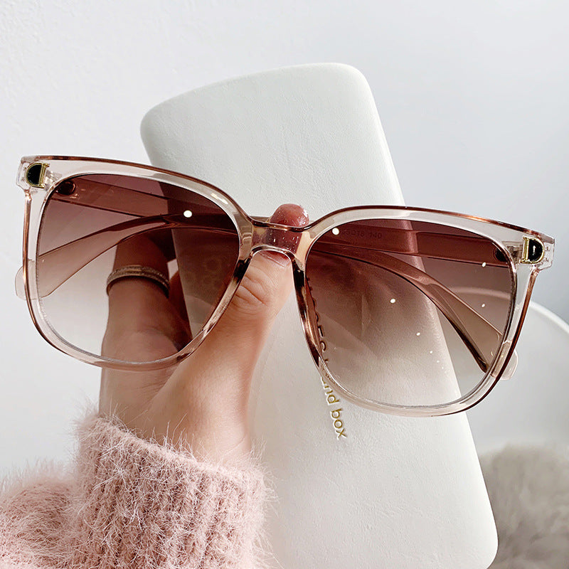 Arc D-Frame Sunglasses