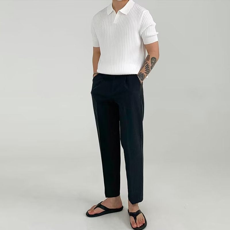 2023 Japanese Style Trendy Men's Polo Shirt (Short Sleeve)