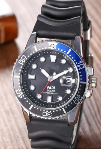 Business Men's Fine Quartz Watch