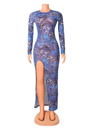 Sheer Long Sleeve Dress for Women