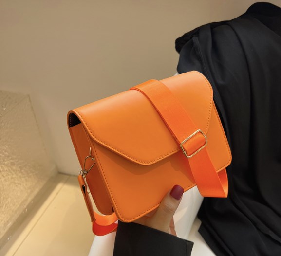 Trendy Crossbody Square Bag for Women (Spring/Summer)