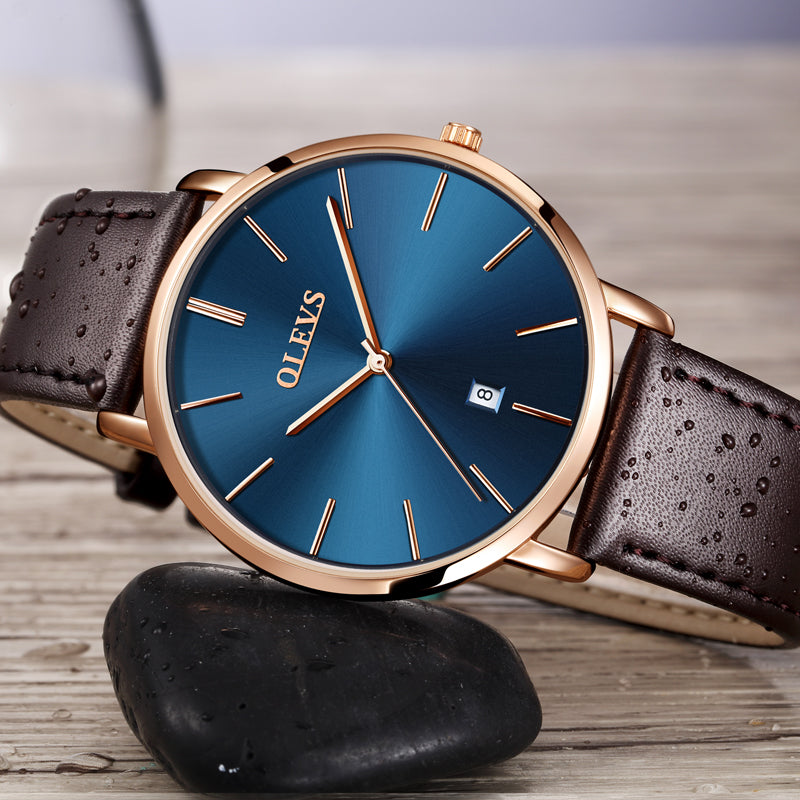 The Royale Automatic Men's Watch | Evarisluxe