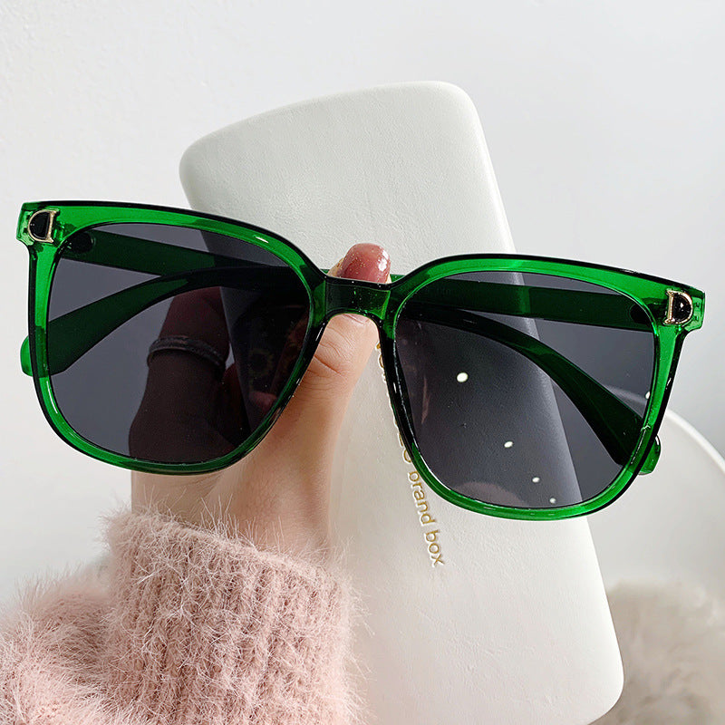 Arc D-Frame Sunglasses