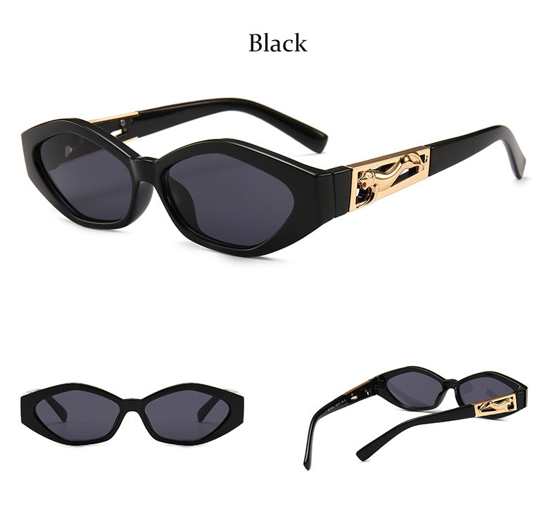 Evarisluxe Oval & Rectangular Sunglasses