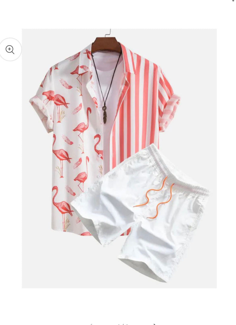 Men's Casual 3D Printed Hawaiian Shirt and Shorts Set