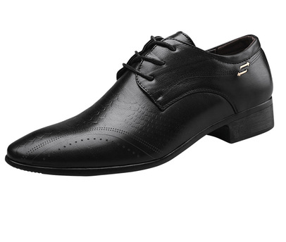 Evarisluxe Business Dress Shoes