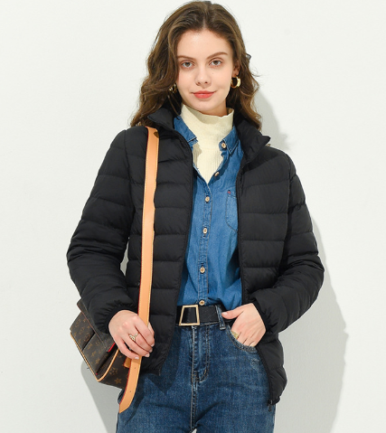 Korean Style Stand-Collar Down Jacket for Women