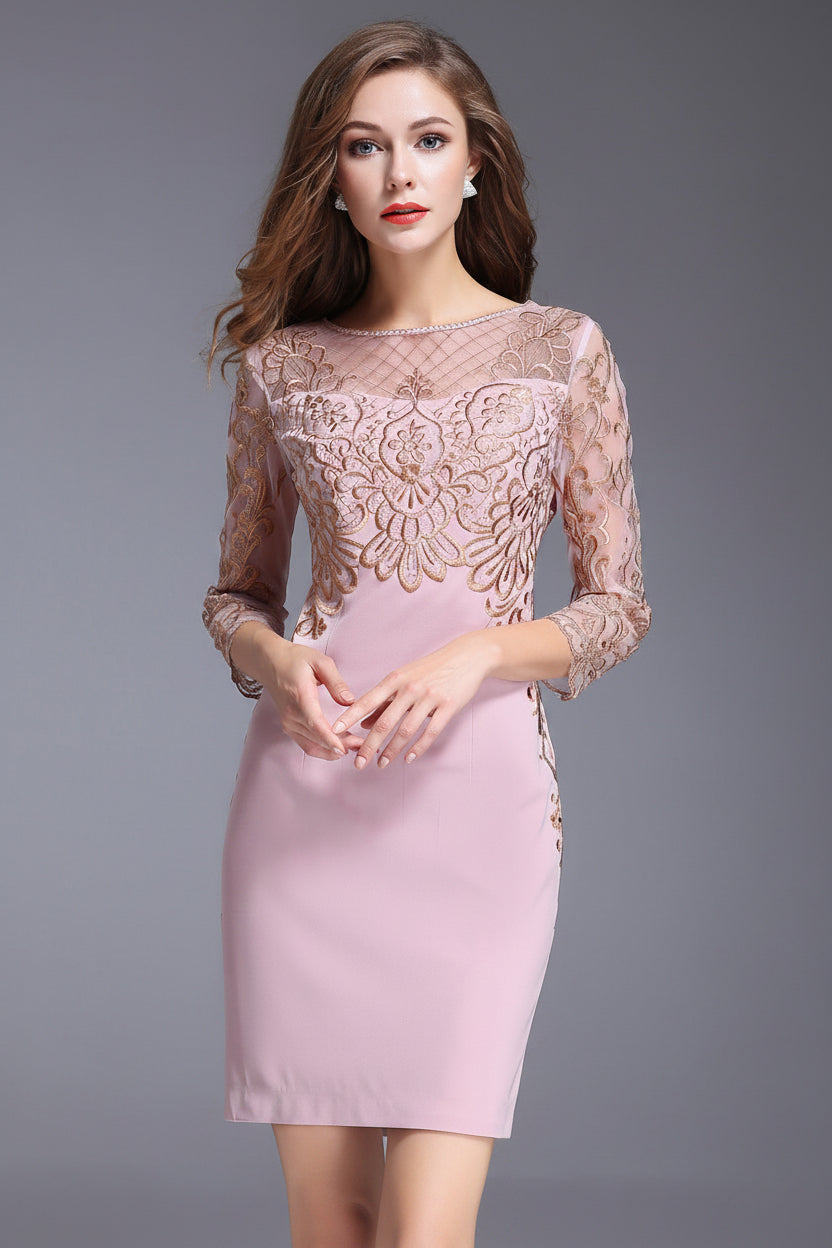 The Dentelle Embroidered Lace Bodycon Dress | Evarisluxe
