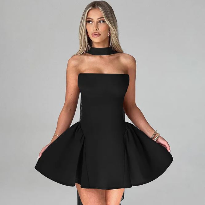 The Tube Zip Dos Short Dress | Evarisluxe