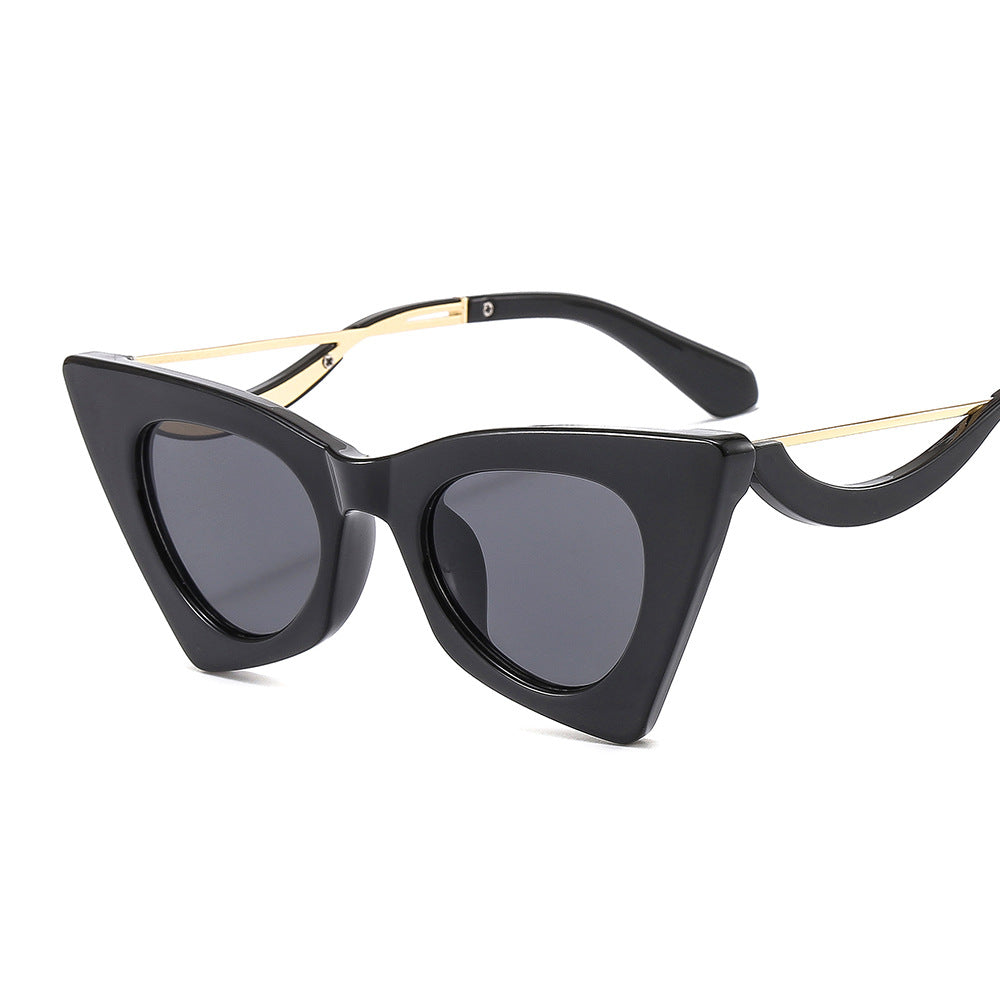 Cat Eye Shaped Selfie Sunglasses for Women 2815