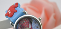 Spider-Man Kids Watch for Boys and Girls, Student Watch