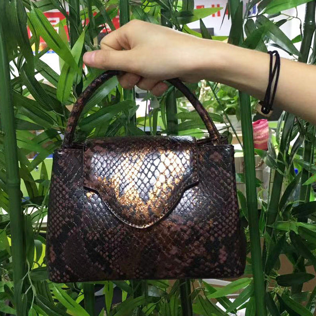 Evarisluxe Snake Skin Embossed Evening Handbag