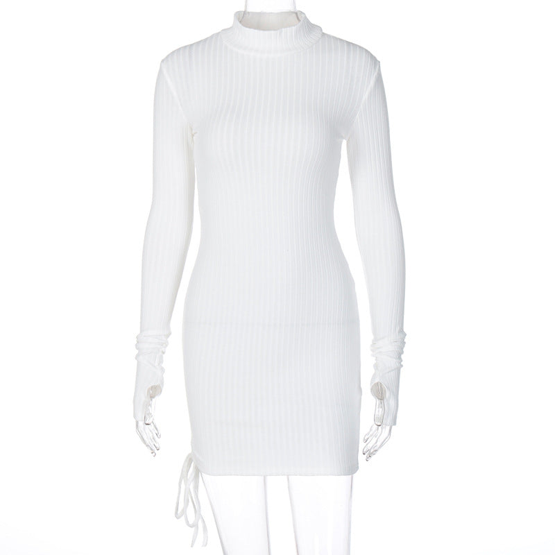 Evarisluxe Slim Casual Turtleneck Dress