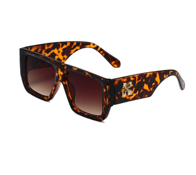 Model 504 Sunglasses for Men and Women (Single Item)